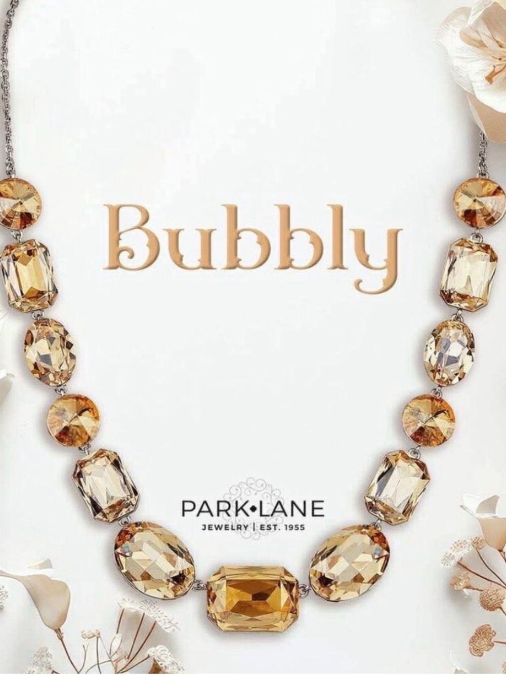 Park lane Bubbly Necklace NWT